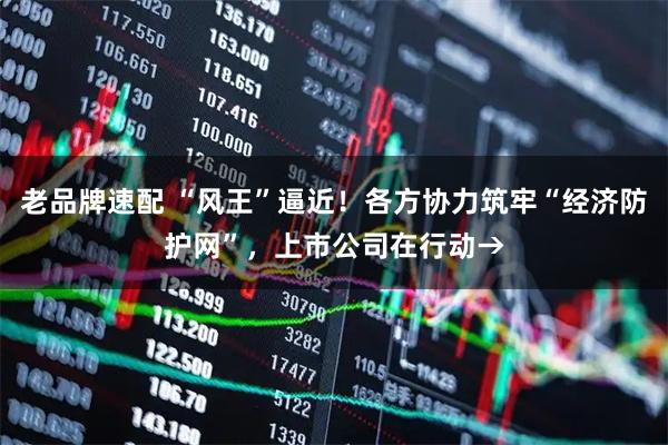 老品牌速配 “风王”逼近！各方协力筑牢“经济防护网”，上市公司在行动→
