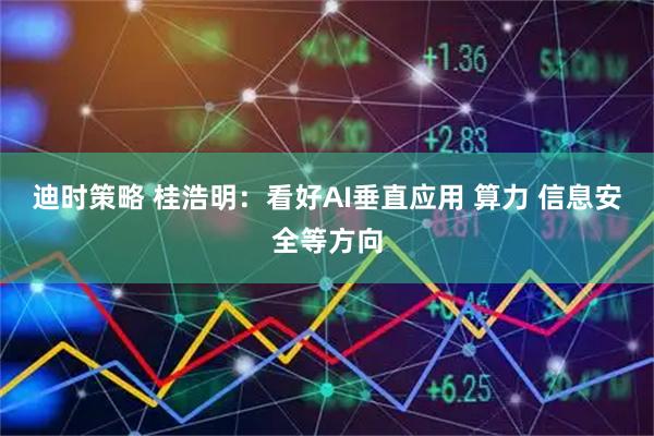 迪时策略 桂浩明：看好AI垂直应用 算力 信息安全等方向