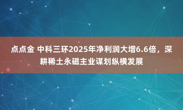 点点金 中科三环2025年净利润大增6.6倍，深耕稀土永磁主业谋划纵横发展